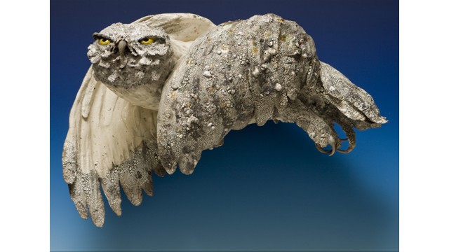Snowy Owl 'Looking for Lemmings' Gina Hollomon 2007